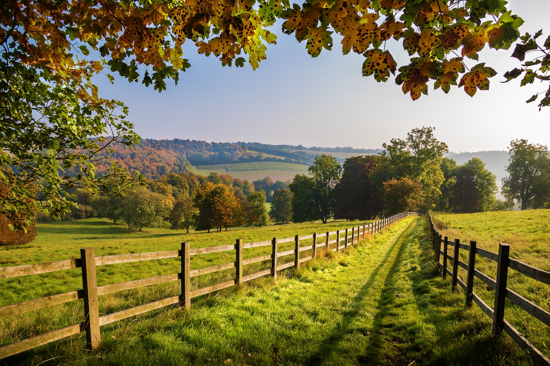 autumn footpath in the english countryside with colourful leaves and woodland on a clear sunny day